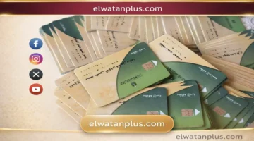 تفاصيل صرف منحة بقيمة 400 جنيه لمستحقي الدعم عبر بطاقات التموين للأسر المصرية